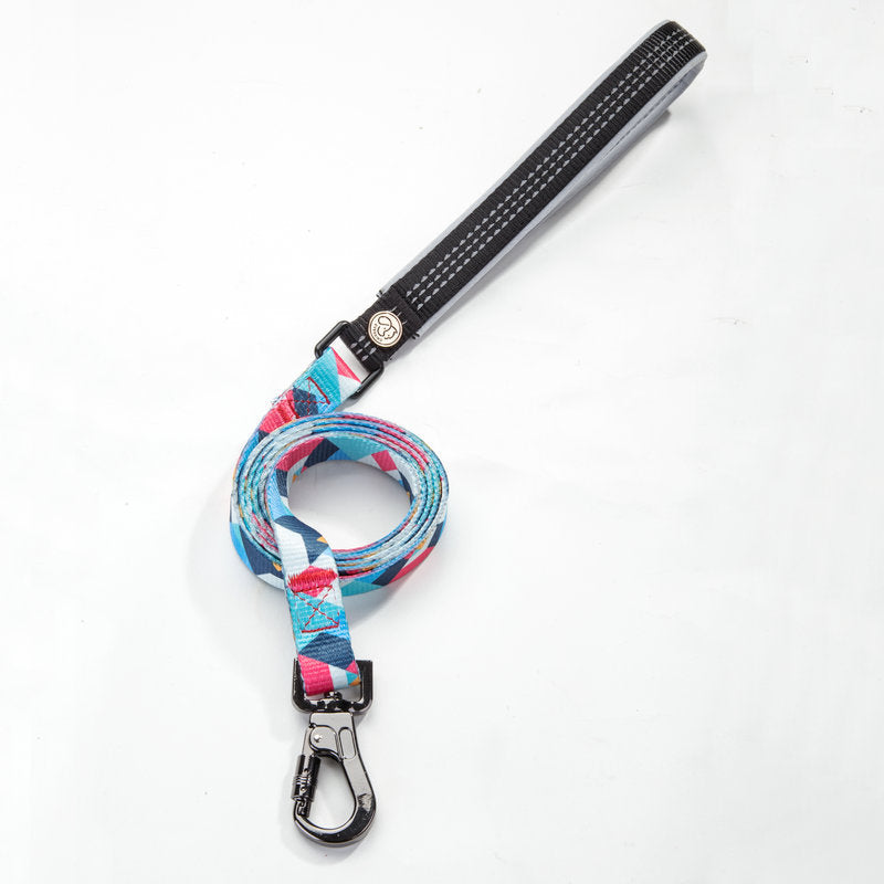 Trending Cartoon Dog Leash – Stylish Printed Pet Lead (S, M & L)