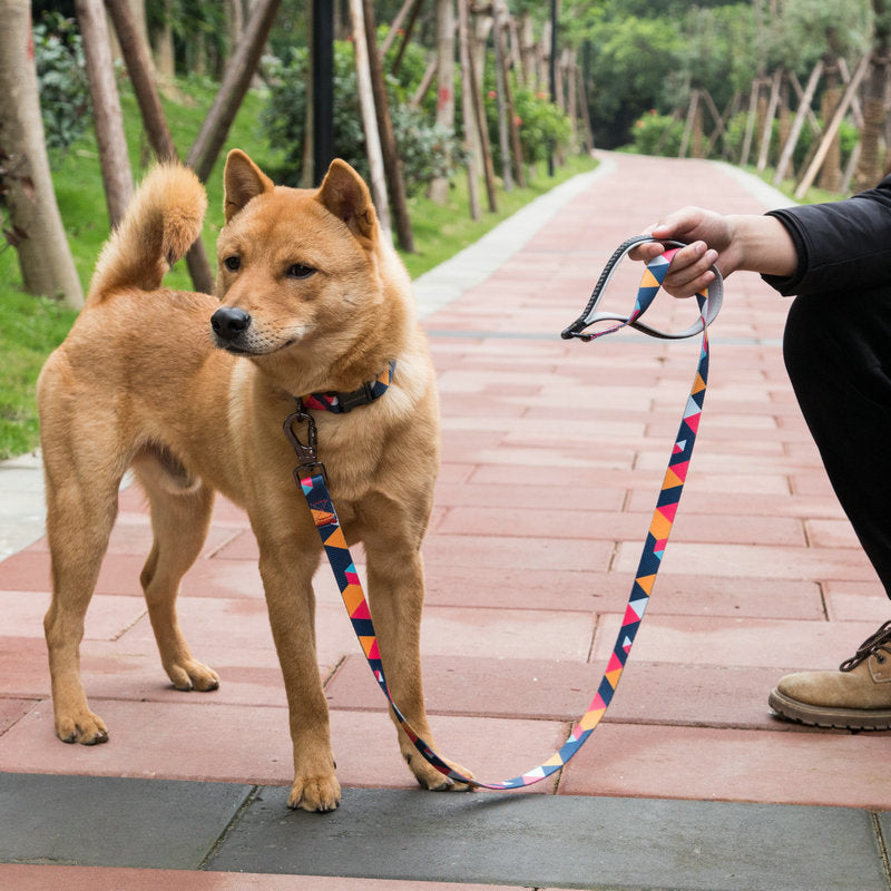 Trending Cartoon Dog Leash – Stylish Printed Pet Lead (S, M & L)