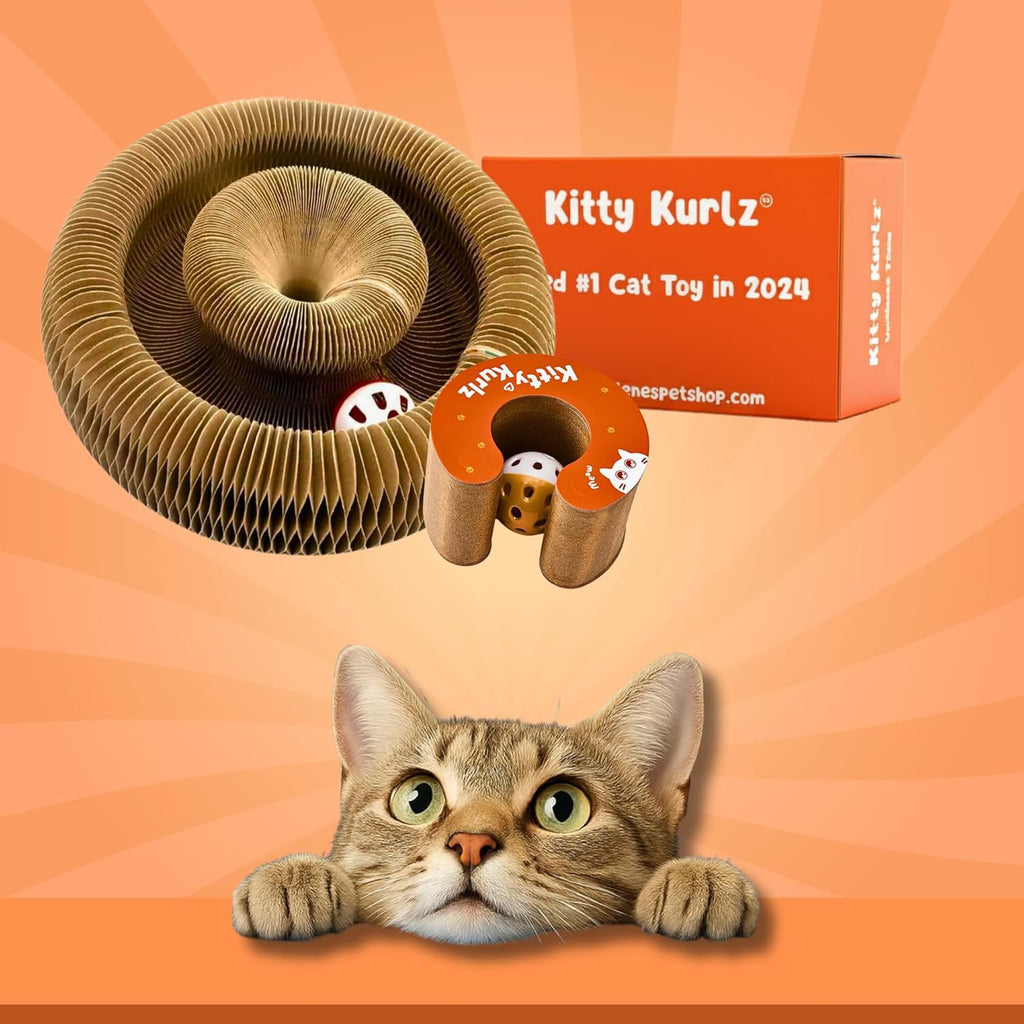 Velura Paws Accordion Cat Scratcher — Bell Toy & Scratching Post