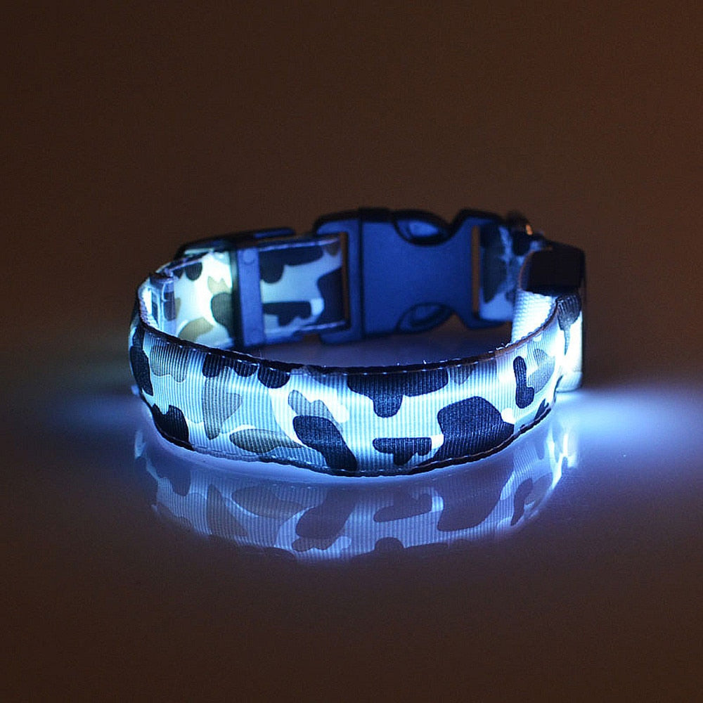 Velura Paws Luminous Dog Collar – Camouflage LED Safety Collar